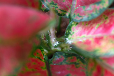 Similar image 22430050