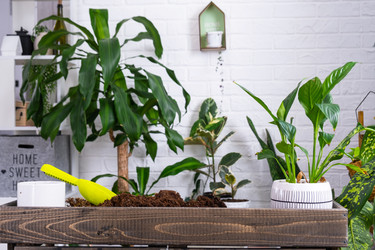 Similar image 22430054