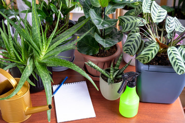 Similar image 22430067