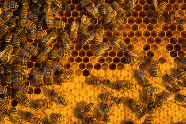 Similar image 22430069