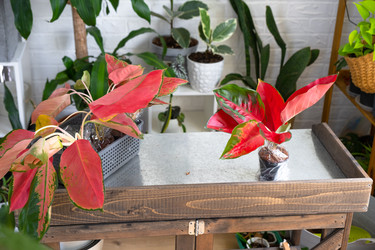 Similar image 22430071