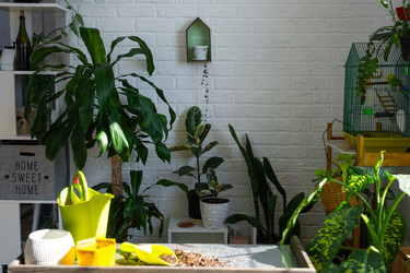 Similar image 22430074