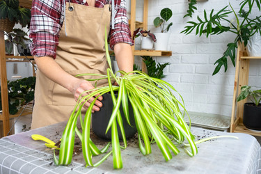 Similar image 22430075