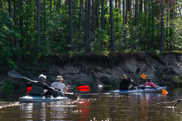 Similar image 22430078