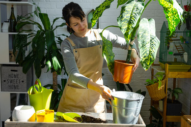 Similar image 22430082