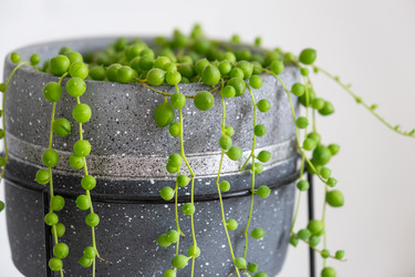 Similar image 22430093