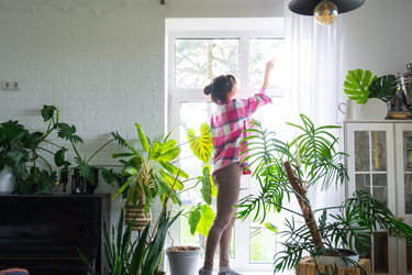 Similar image 22430096