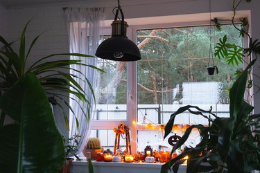 Similar image 22430097