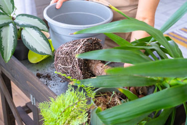 Similar image 22430098