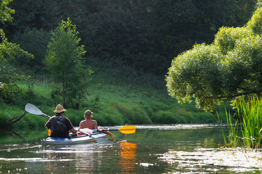 Similar image 22439151