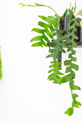 Similar image 22430105