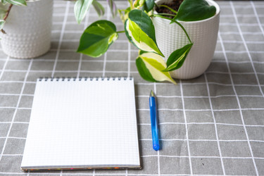 Similar image 22430106