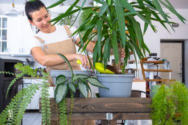 Similar image 22430110