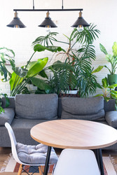 Similar image 22423187