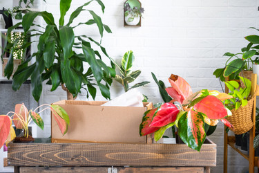 Similar image 22423192