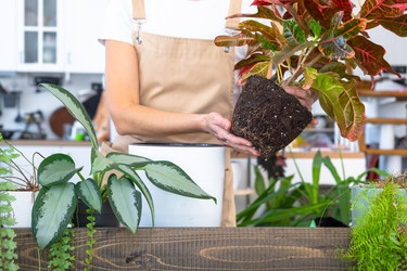 Similar image 22423196