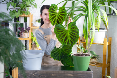 Similar image 22423201