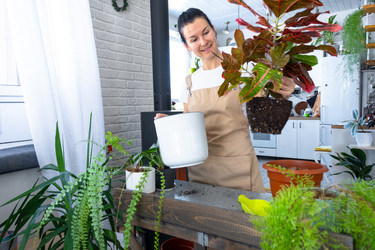 Similar image 22423203