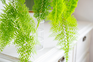 Similar image 22423207