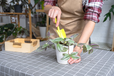 Similar image 22423209