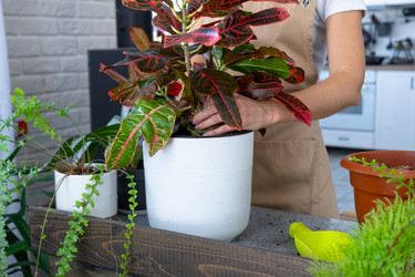 Similar image 22423210