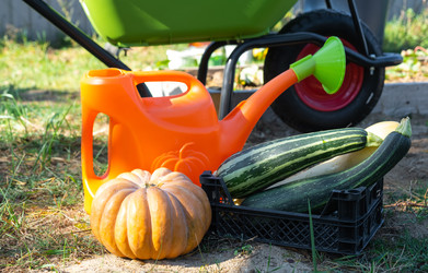 Similar image 22423211