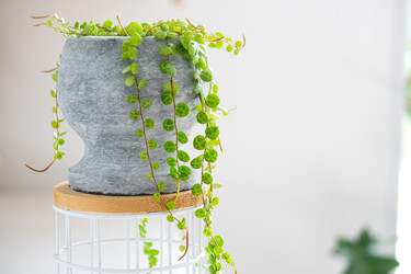 Similar image 22423212