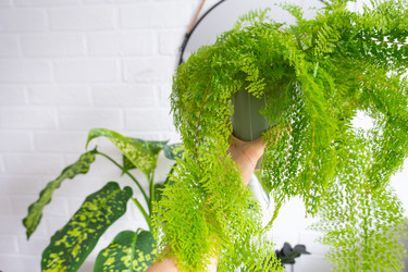 Similar image 22423214