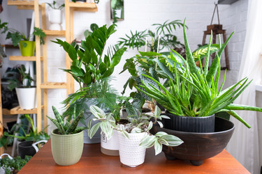 Similar image 22423217