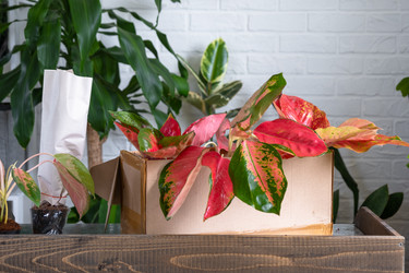 Similar image 22423222