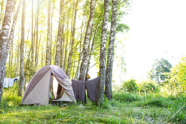 Similar image 22423224