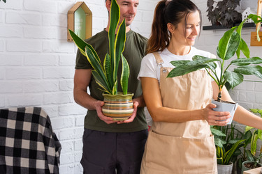 Similar image 22423225