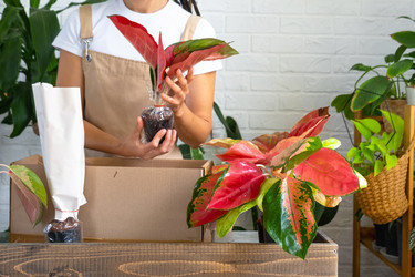 Similar image 22430123