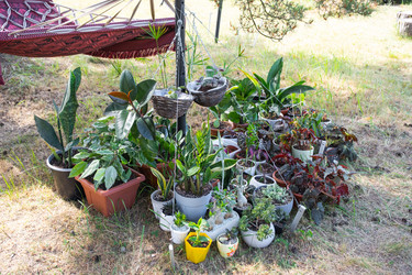 Similar image 22430124