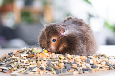 Similar image 22430134