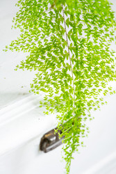 Similar image 22430141