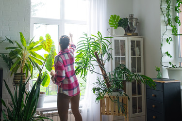 Similar image 22430144