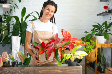 Similar image 22430148