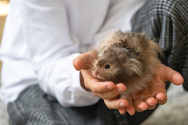 Similar image 22430151