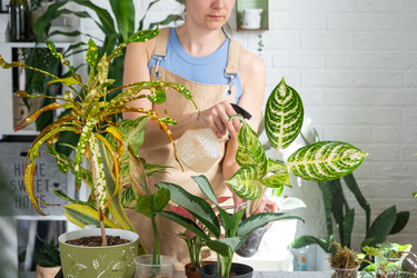 Similar image 22430154