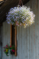 Similar image 22430157