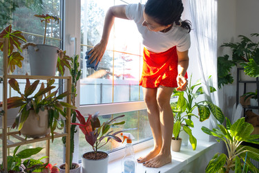 Similar image 22430161