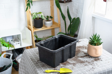 Similar image 22430170