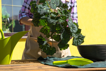 Similar image 22430171