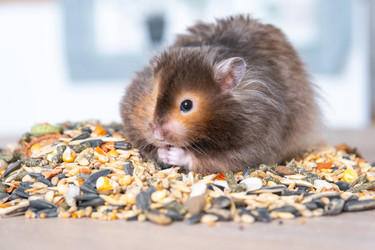 Similar image 22430173