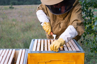 Similar image 22430175