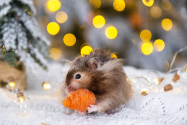 Similar image 22430180