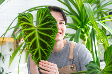 Similar image 22430192