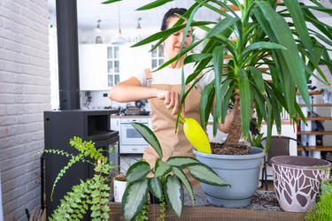 Similar image 22430206