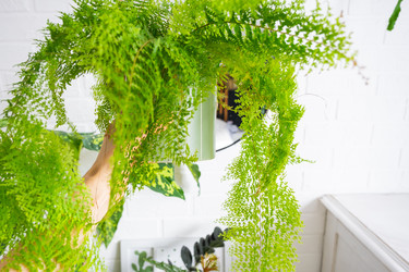 Similar image 22430212